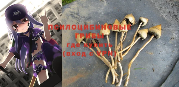 МДМА Абаза