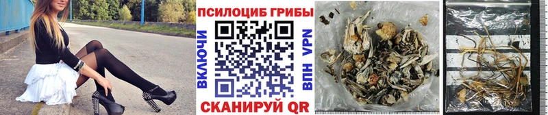 Галлюциногенные грибы мухоморы  мега вход  Ядрин 
